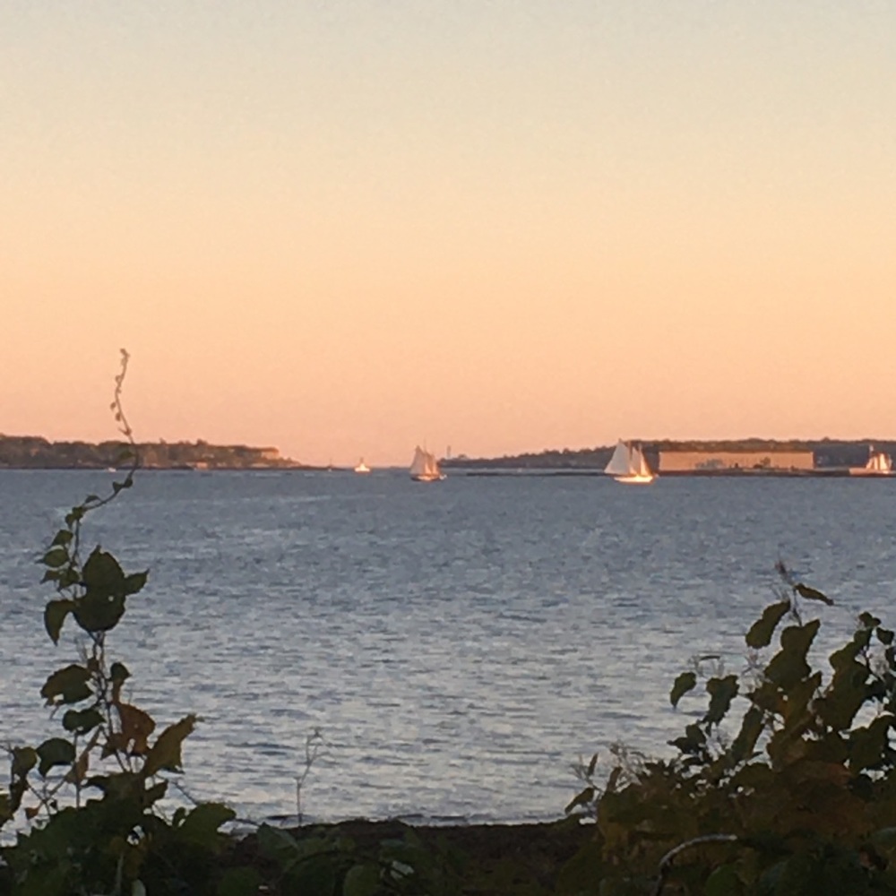 ❤️ Like to Bookmark closet ❤️ New items regularly